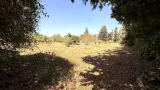 Ver la foto 1 de 12