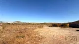 Ver la foto 7 de 10