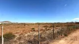 Ver la foto 5 de 10